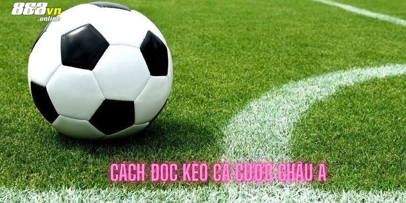 Cách đọc kèo cá cược Châu Á chuẩn nhất